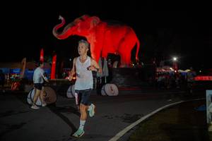 BIB: 
                            <button type="button" onclick="openModal(26551990)" class="btn btn-primary btn-sm float-right btn-popup" data-toggle="modal" data-target=".modal-high-quality">
                        <i class="fas fa-shopping-cart"></i> Add to Cart
                    </button>
                                            <button type="button" onclick="isThisMe(26551990, true)" class="btn btn-success btn-sm float-right btn-popup btn-isme hidden" data-toggle="tooltip" data-placement="bottom" title="นี่คือรูปของคุณใช่ไหม คลิกที่นี่เพื่อเอาเข้าอัลบั้ม">
                        <i class="fas fa-plus"></i> Add to album
                    </button>
                    <button type="button" onclick="isThisMe(26551990, false)" class="btn btn-warning btn-sm float-right btn-popup btn-isnotme hidden">
                        <i class="fas fa-ban"></i> Remove from album
                    </button>